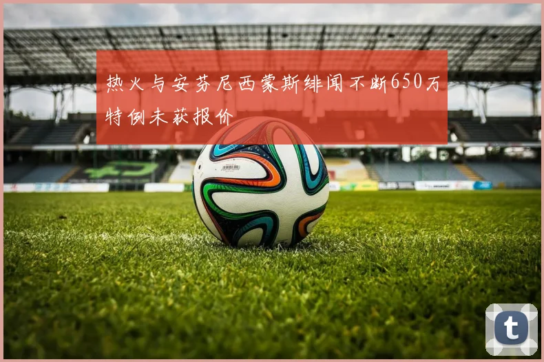热火与安芬尼西蒙斯绯闻不断650万特例未获报价