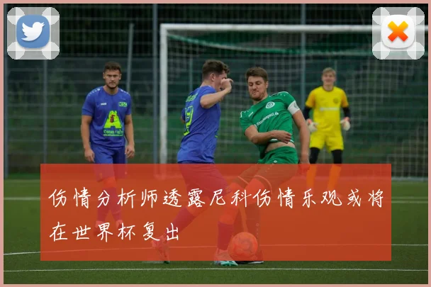伤情分析师透露尼科伤情乐观或将在世界杯复出